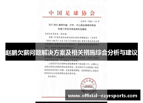 赵鹏欠薪问题解决方案及相关措施综合分析与建议 赵鹏欠薪问题解决方案及相关措施综合分析与建议
